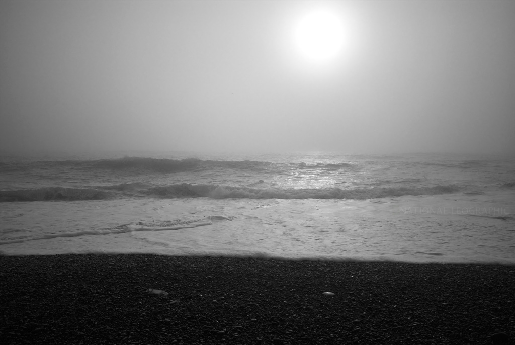 c0080101_17122100.jpg
