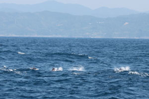 f0048405_7124514.jpg