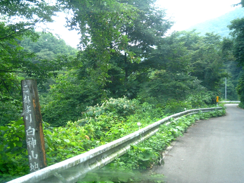b0180907_2226511.jpg
