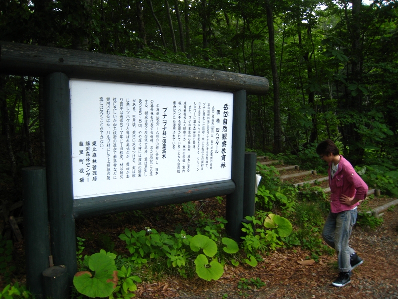 b0180907_22274561.jpg