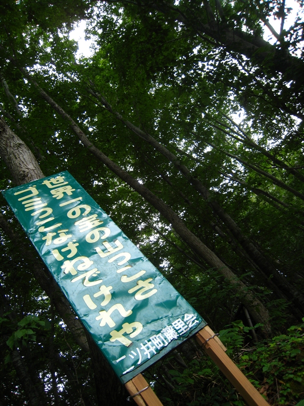 b0180907_22411114.jpg