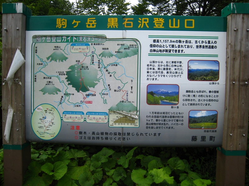 b0180907_22412525.jpg
