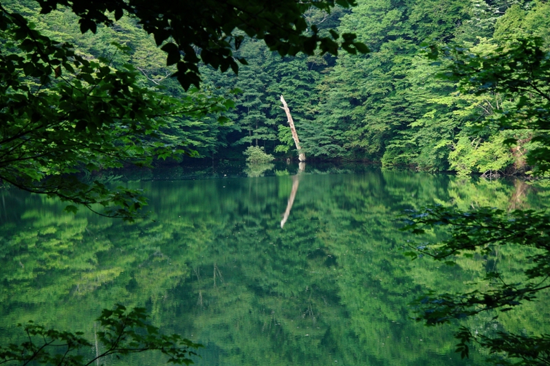 b0180907_22463953.jpg
