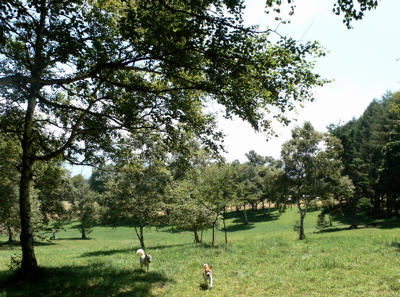 e0014507_9561164.jpg