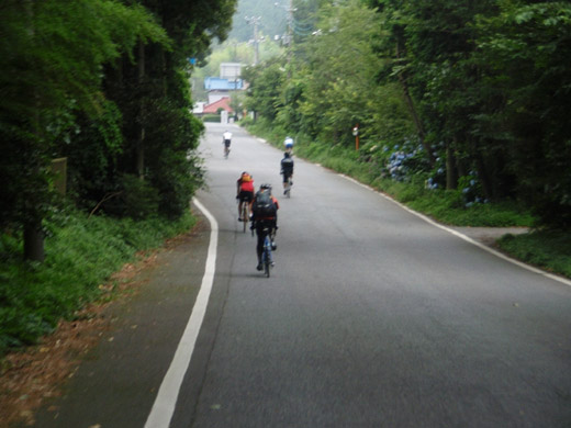 e0066210_171414.jpg