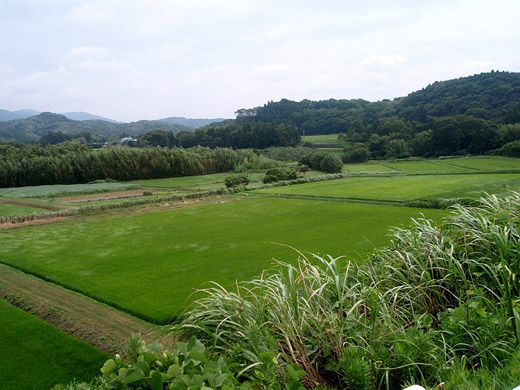 e0066210_175863.jpg