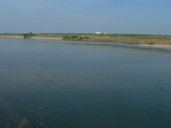 e0002314_22272863.jpg