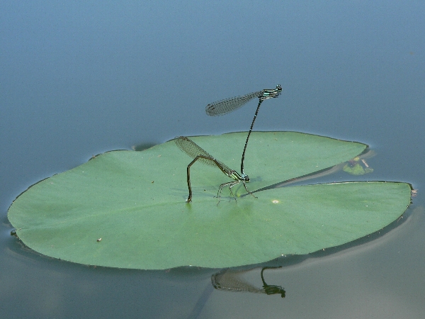 e0002314_22345238.jpg