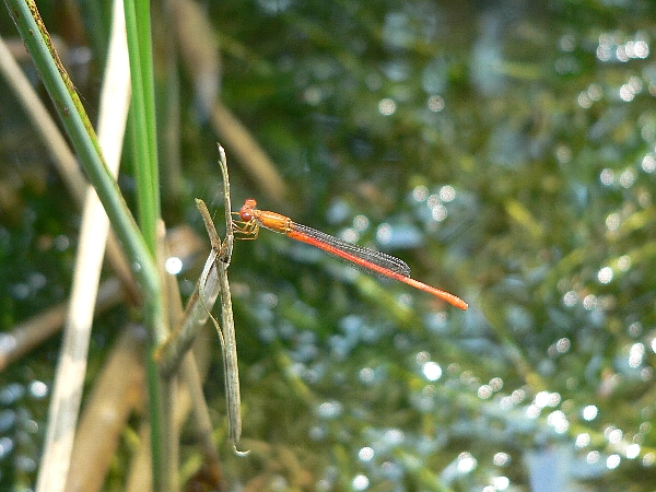 e0002314_2235558.jpg