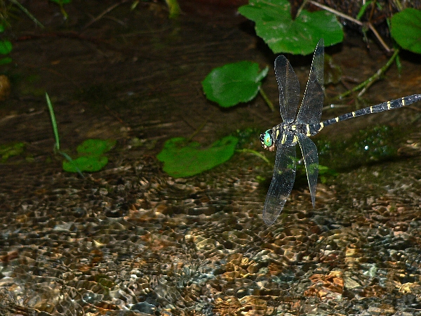 e0002314_2239429.jpg