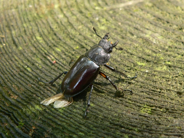 e0002314_22431365.jpg