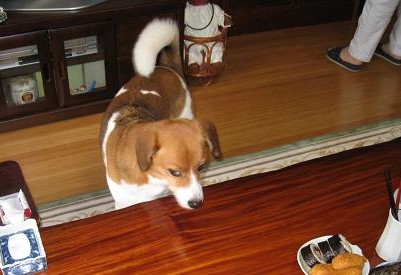 c0084117_1565880.jpg