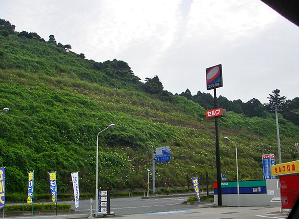 d0144618_2204140.jpg