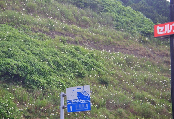 d0144618_220552.jpg