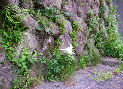 d0144618_221125.jpg