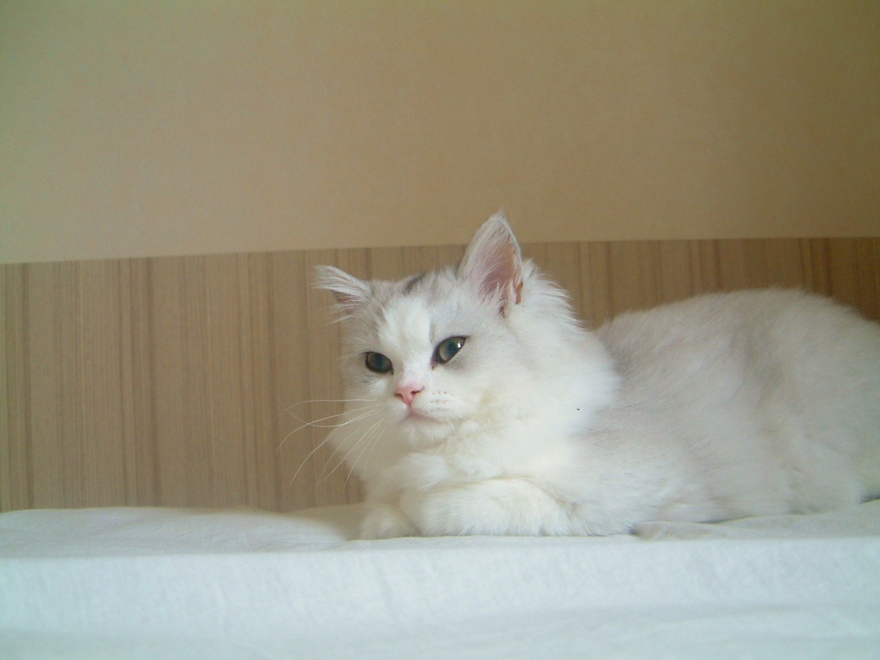 a0129020_9553711.jpg