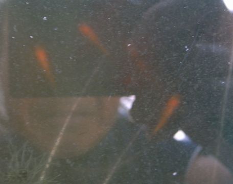 f0100920_20563117.jpg