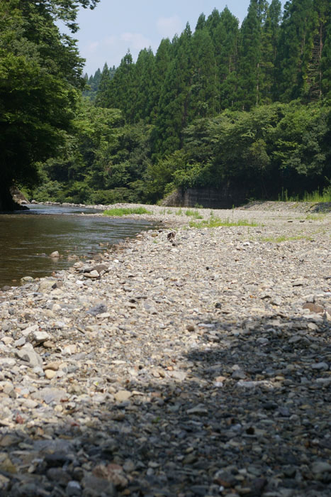 a0114222_10341947.jpg