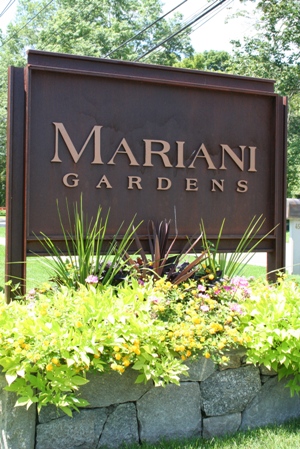 f0151222_10465559.jpg