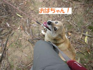 f0143123_20104090.jpg