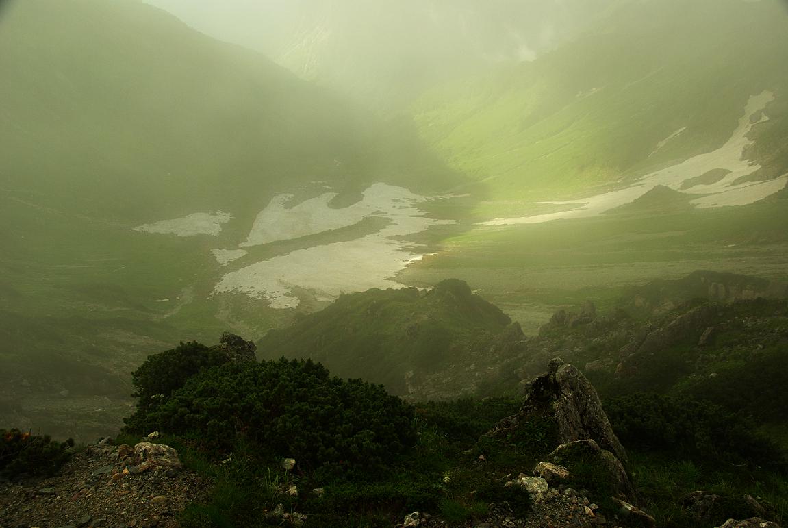 b0062024_754635.jpg