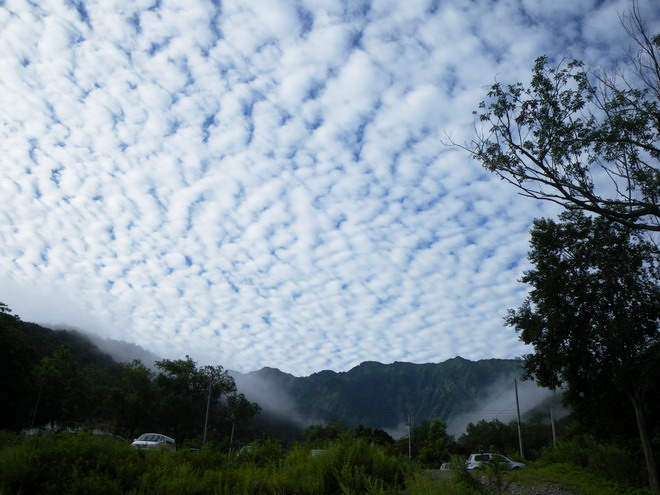 c0035931_0151693.jpg