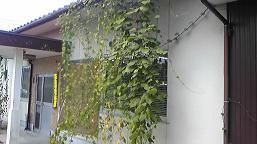 f0202633_1134049.jpg