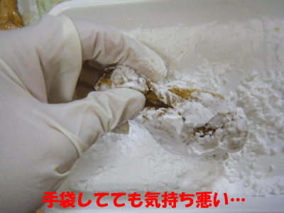 f0008935_9152862.gif