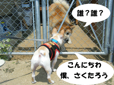 f0008935_935067.gif