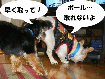 f0008935_944399.gif
