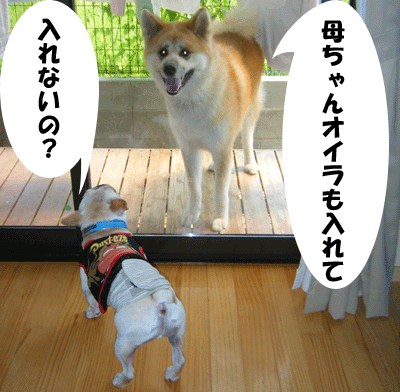 f0008935_945560.gif