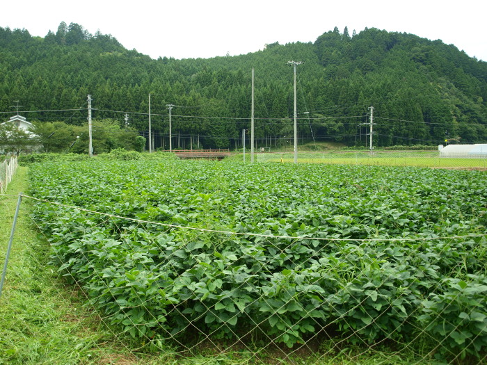 c0072843_18263824.jpg