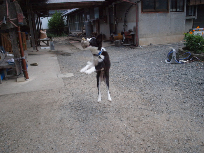 c0072843_1827135.jpg