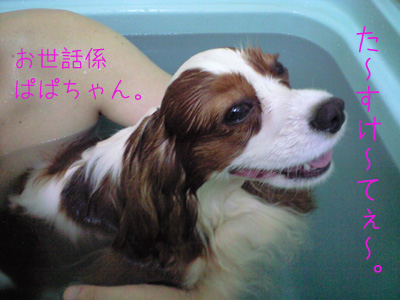 a0120944_2134991.jpg