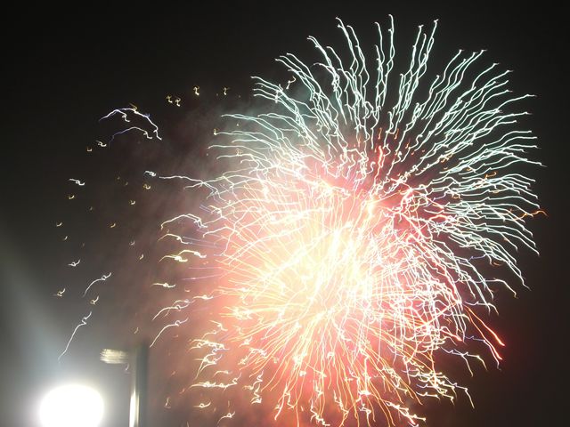 b0034848_18343668.jpg