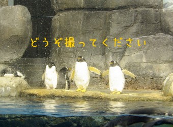 d0151949_0114715.jpg