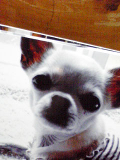 c0019050_13385332.jpg