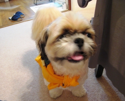 c0043751_133552.jpg