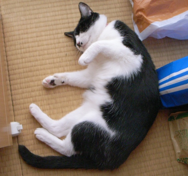 c0138553_23454160.jpg