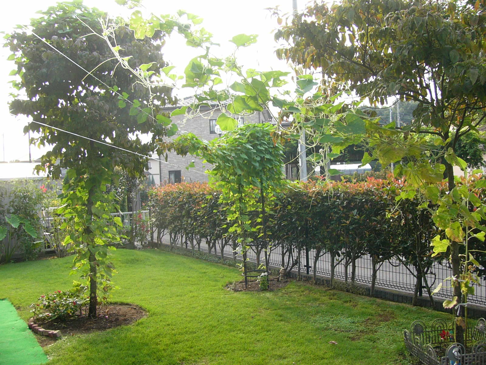 f0175754_16144543.jpg