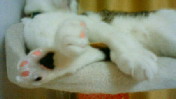 c0052756_2331184.jpg