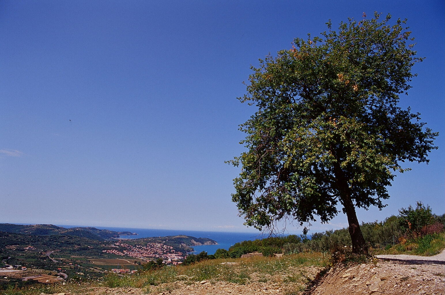 e0134658_1522489.jpg