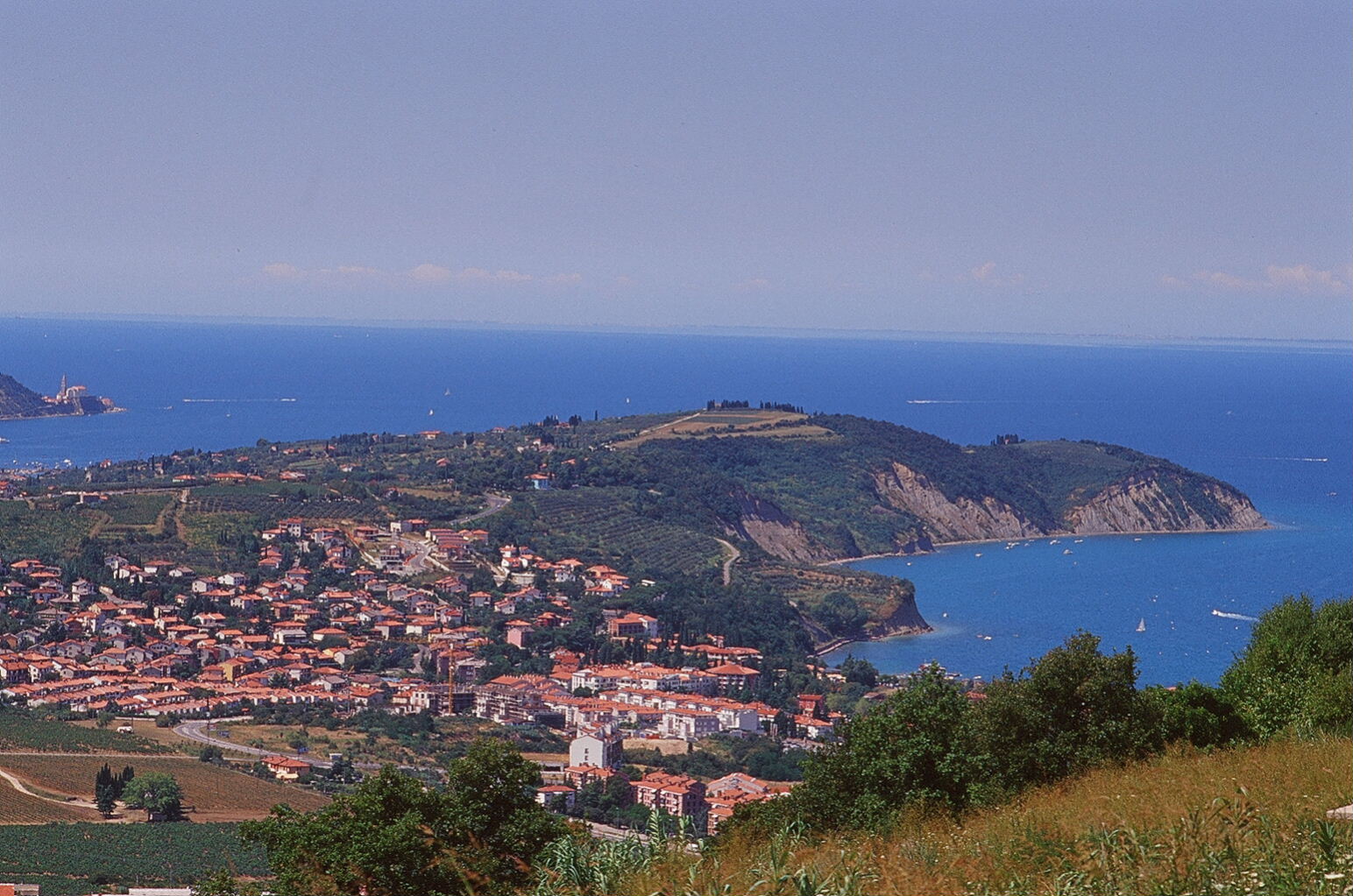 e0134658_153111.jpg