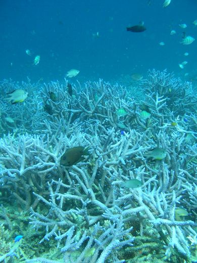 b0062363_19464866.jpg