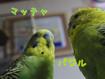 f0196665_0265072.jpg