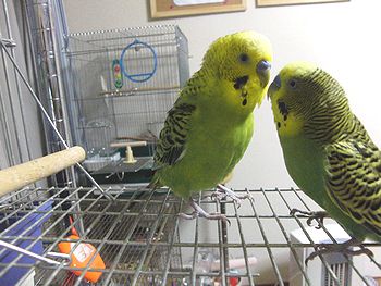 f0196665_0274156.jpg