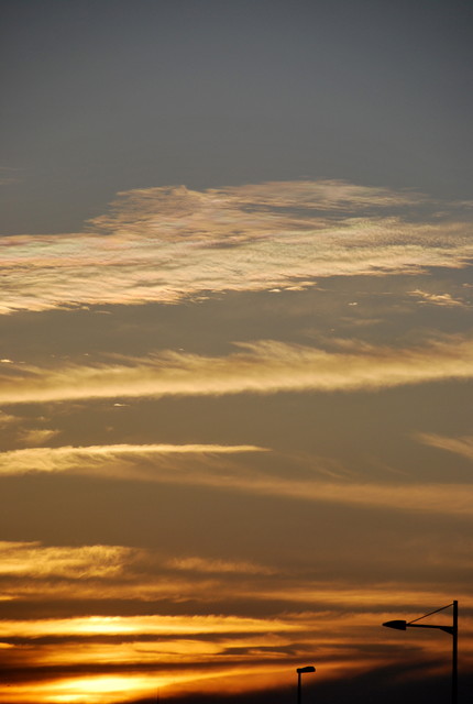 b0174068_0351442.jpg