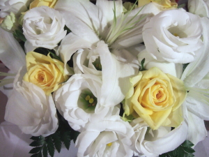 e0142170_111676.jpg