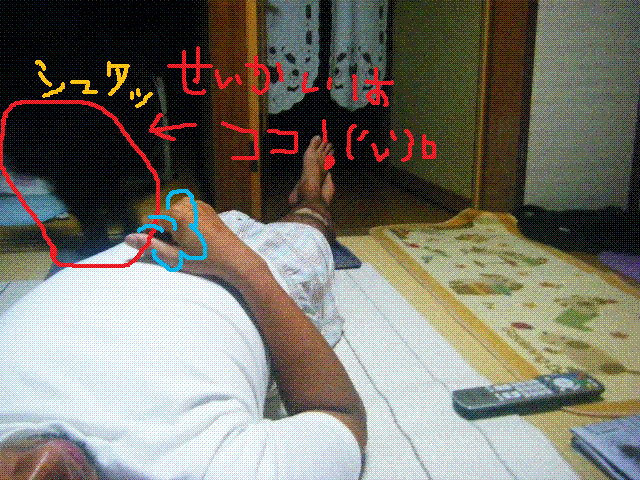 f0207970_17274027.gif
