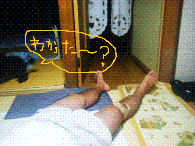 f0207970_1728373.gif